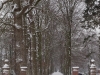 sneeuw dec 2010